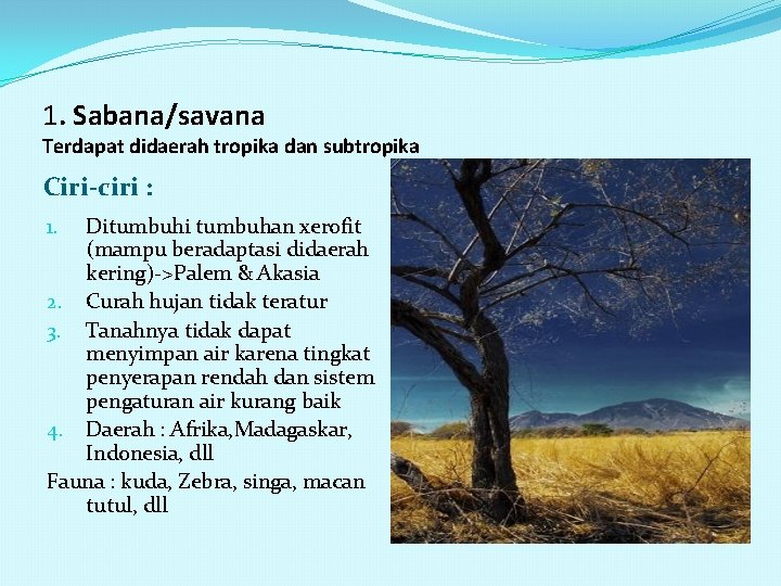 1. Sabana/savana Terdapat didaerah tropika dan subtropika Ciri-ciri : Ditumbuhi tumbuhan xerofit (mampu beradaptasi