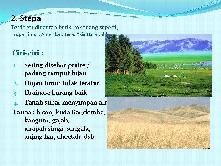 2. Stepa Terdapat didaerah beriklim sedang seperti, Eropa Timur, Amerika Utara, Asia Barat, dll