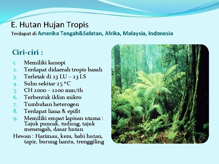 E. Hutan Hujan Tropis Terdapat di Amerika Tengah&Selatan, Afrika, Malaysia, Indonesia Ciri-ciri : Memiliki