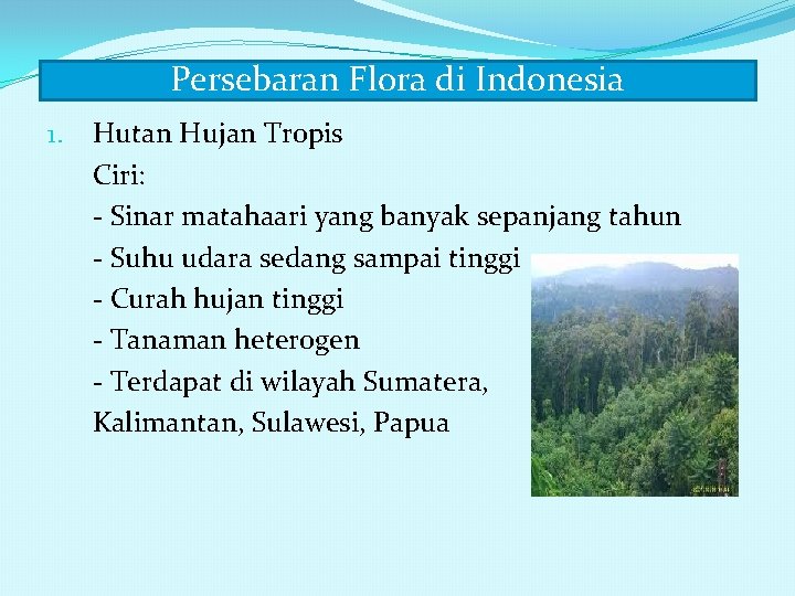Persebaran Flora di Indonesia 1. Hutan Hujan Tropis Ciri: - Sinar matahaari yang banyak
