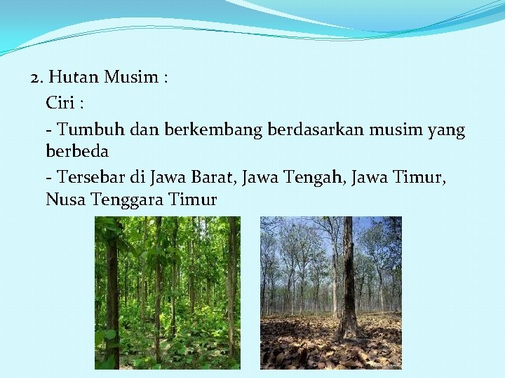 2. Hutan Musim : Ciri : - Tumbuh dan berkembang berdasarkan musim yang berbeda