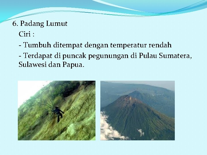 6. Padang Lumut Ciri : - Tumbuh ditempat dengan temperatur rendah - Terdapat di