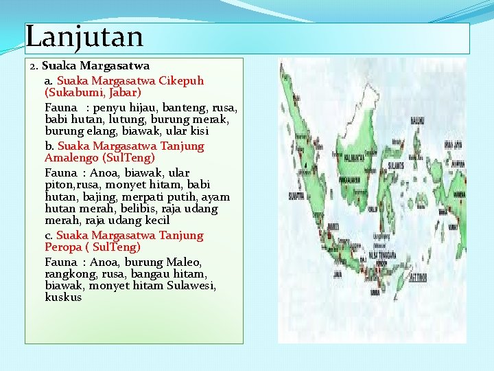 Lanjutan 2. Suaka Margasatwa a. Suaka Margasatwa Cikepuh (Sukabumi, Jabar) Fauna : penyu hijau,