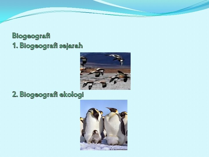 Biogeografi 1. Biogeografi sejarah 2. Biogeografi ekologi 