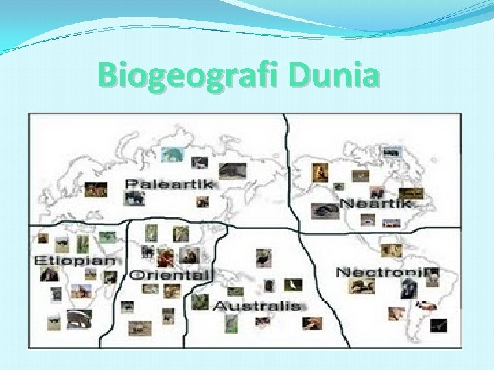 Biogeografi Dunia 