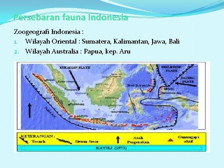 Persebaran fauna Indonesia Zoogeografi Indonesia : 1. Wilayah Oriental : Sumatera, Kalimantan, Jawa, Bali
