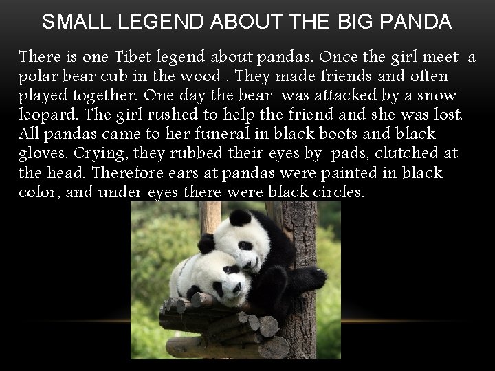 SMALL LEGEND ABOUT THE BIG PANDA There is one Tibet legend about pandas. Once
