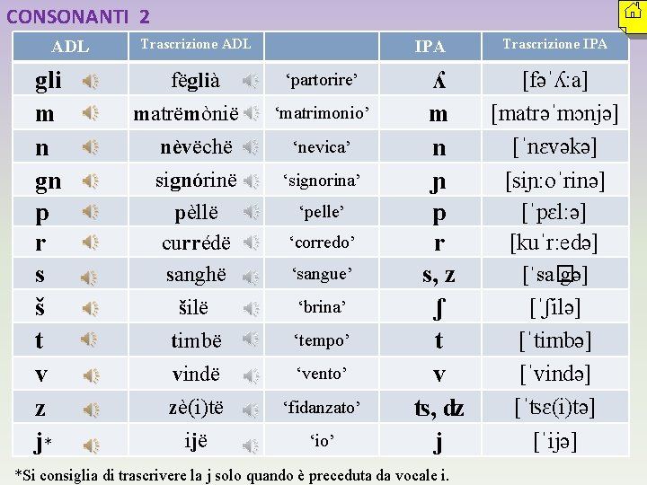 CONSONANTI 2 ADL gli m n gn p r s š t v z