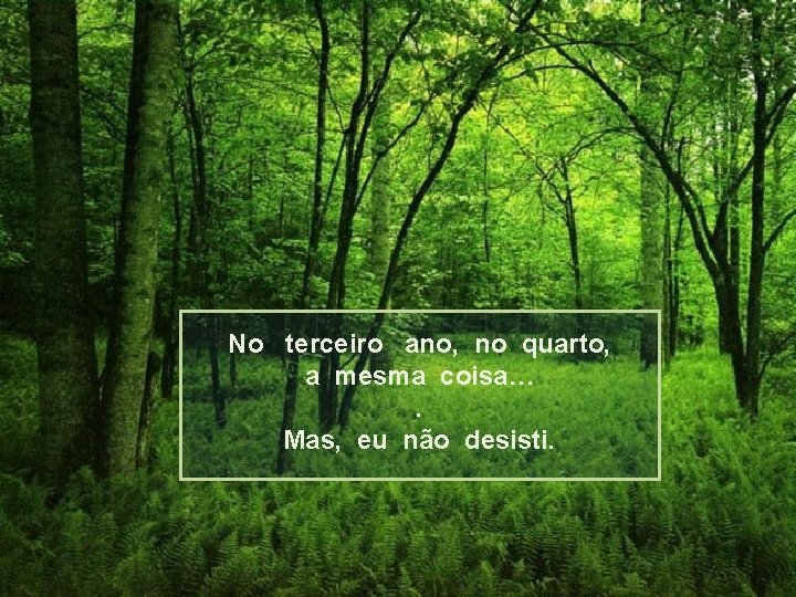 No terceiro ano, no quarto, a mesma coisa…. Mas, eu não desisti. 