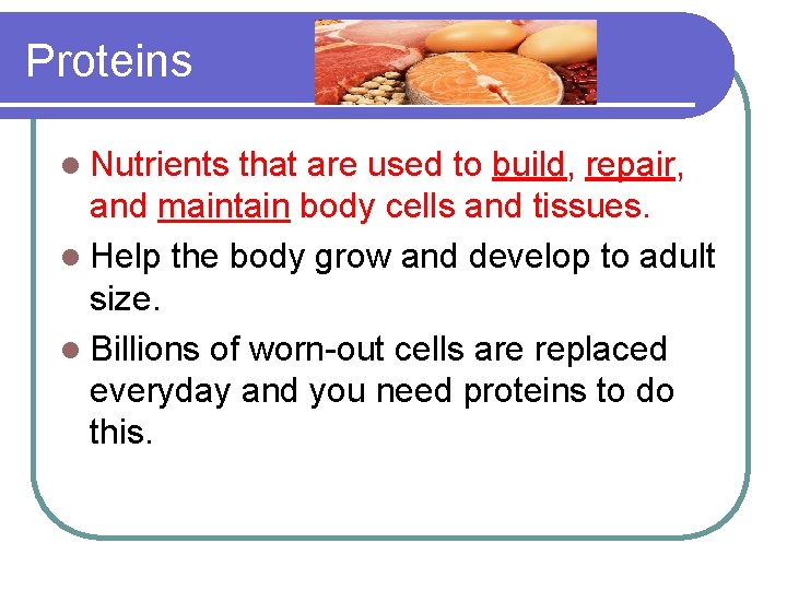 Proteins l Nutrients that are used to build, repair, and maintain body cells and