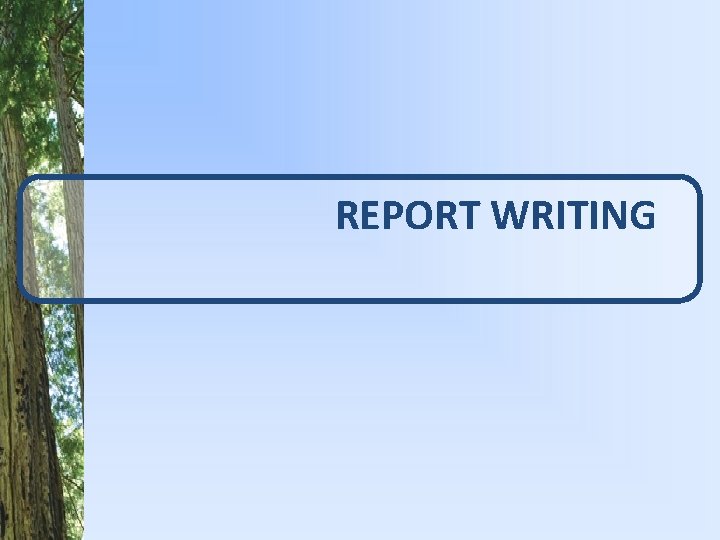 REPORT WRITING 