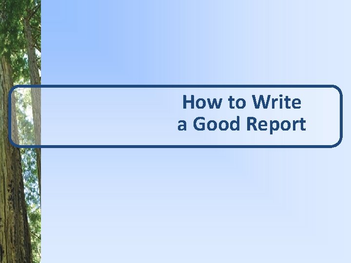 How to Write a Good Report 