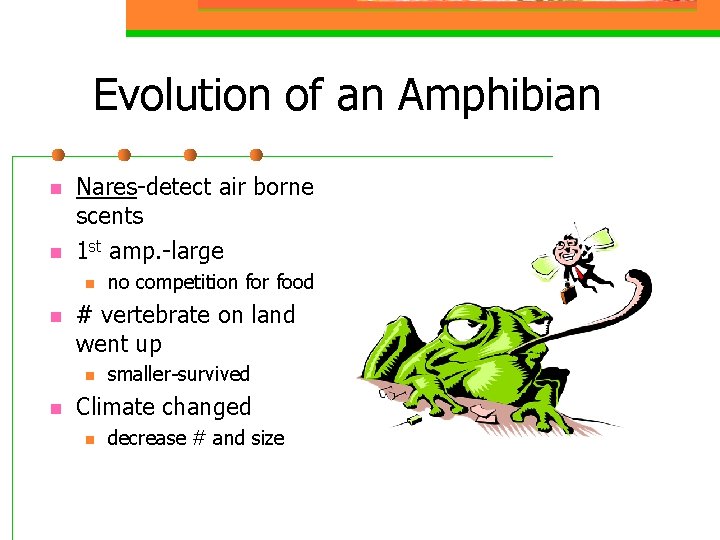 Evolution of an Amphibian n n Nares-detect air borne scents 1 st amp. -large
