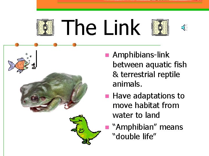 The Link n n n Amphibians-link between aquatic fish & terrestrial reptile animals. Have