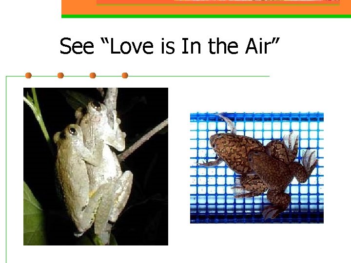 See “Love is In the Air” 
