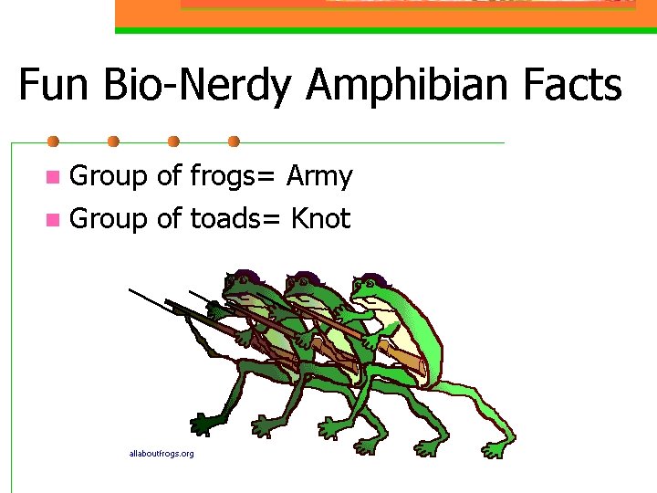 Fun Bio-Nerdy Amphibian Facts Group of frogs= Army n Group of toads= Knot n