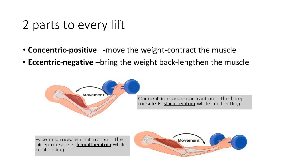 2 parts to every lift • Concentric-positive -move the weight-contract the muscle • Eccentric-negative
