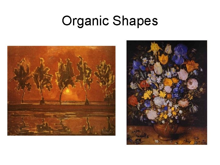 Organic Shapes 