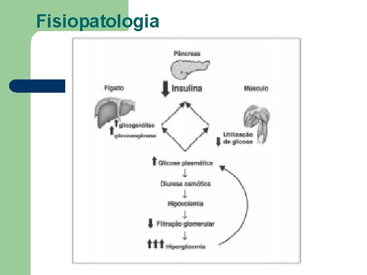 Fisiopatologia 