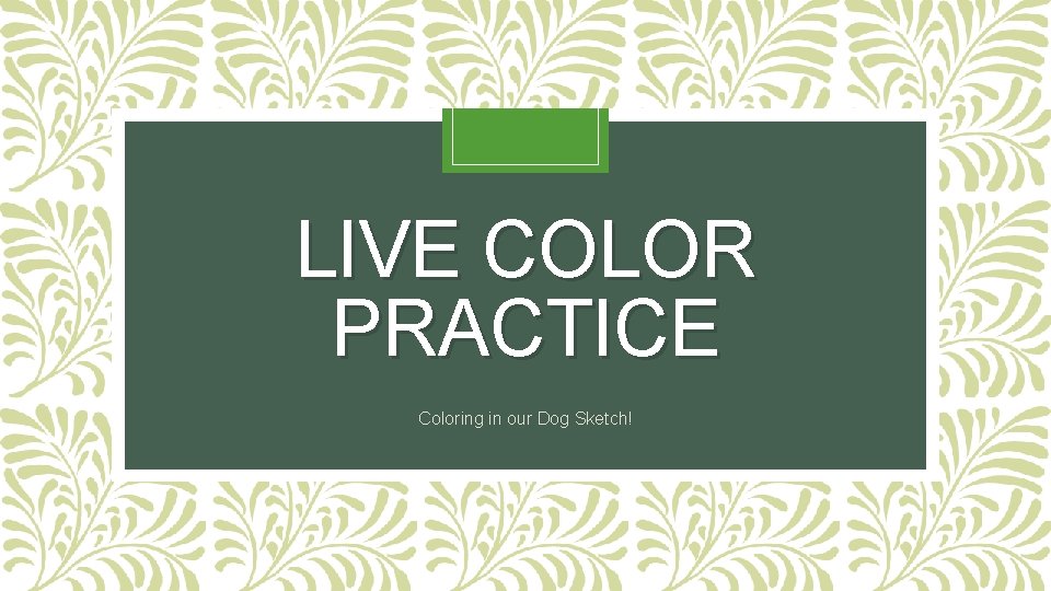 LIVE COLOR PRACTICE Coloring in our Dog Sketch! 