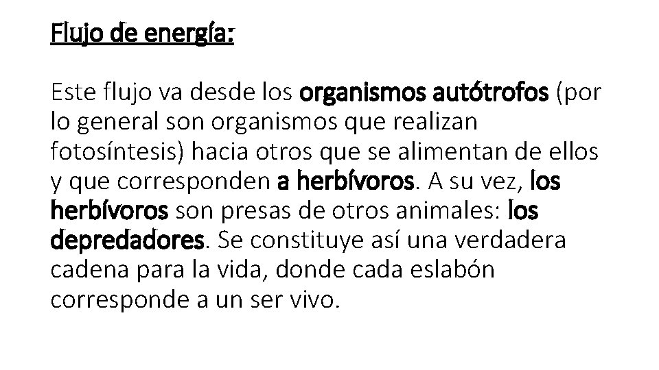 Flujo de energía: Este flujo va desde los organismos autótrofos (por lo general son