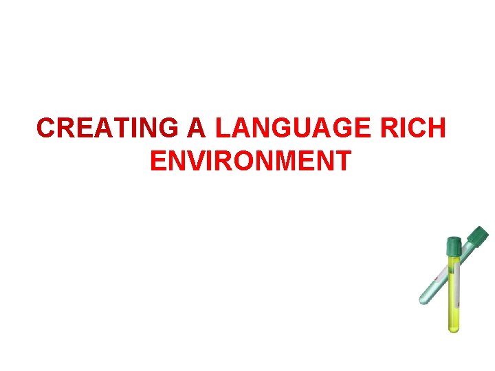 CREATING A LANGUAGE RICH ENVIRONMENT 