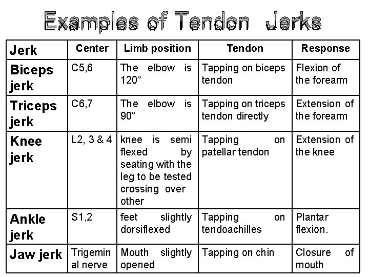 Examples of Tendon Jerks Jerk Biceps jerk Triceps jerk Knee jerk Ankle jerk Jaw