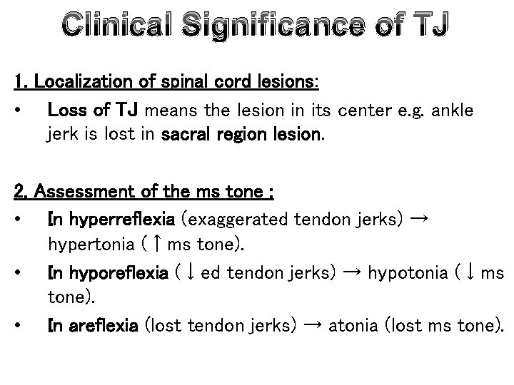 Clinical Significance of TJ 1. Localization of spinal cord lesions: • Loss of TJ