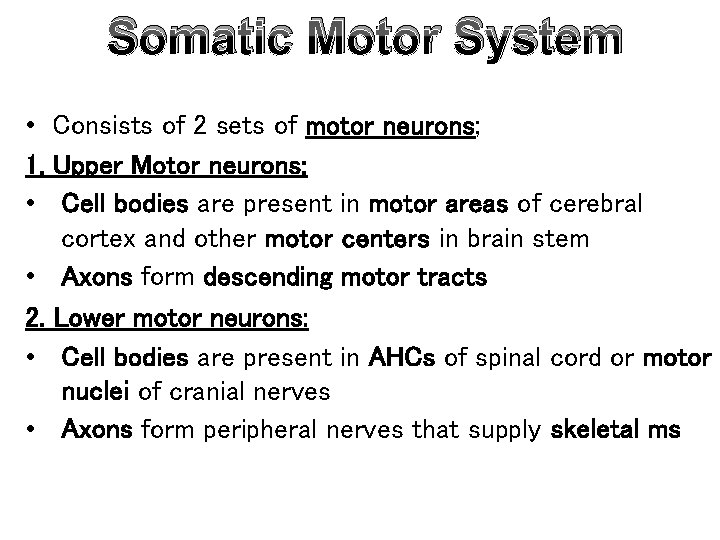 Somatic Motor System • Consists of 2 sets of motor neurons; 1. Upper Motor