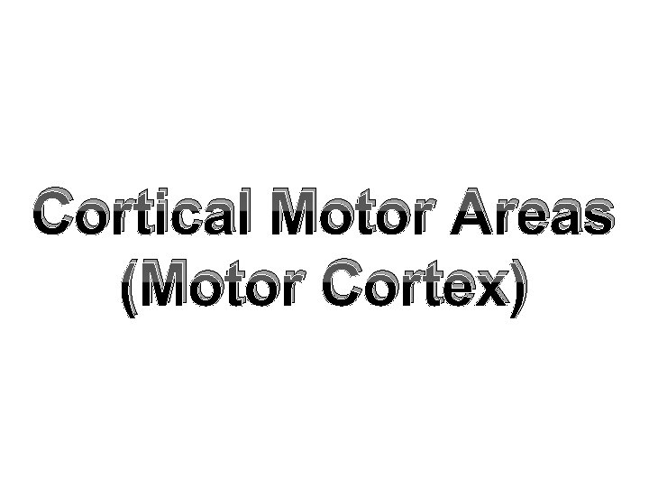 Cortical Motor Areas (Motor Cortex) 