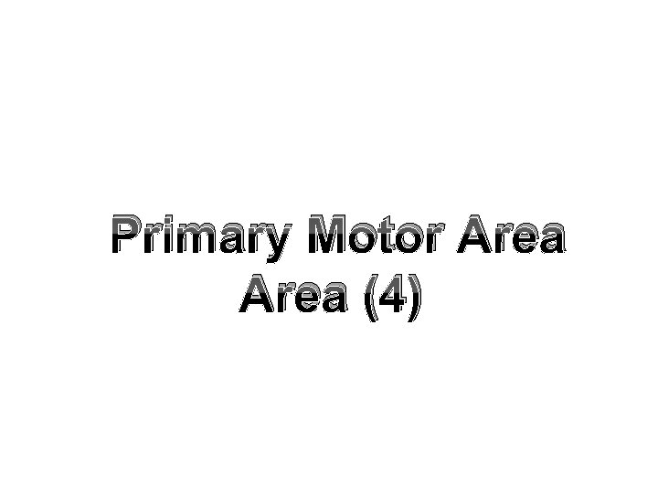 Primary Motor Area (4) 