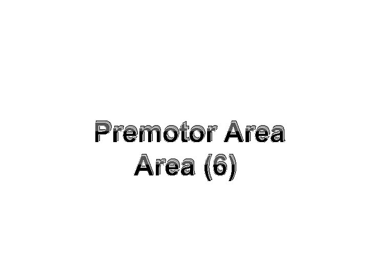 Premotor Area (6) 