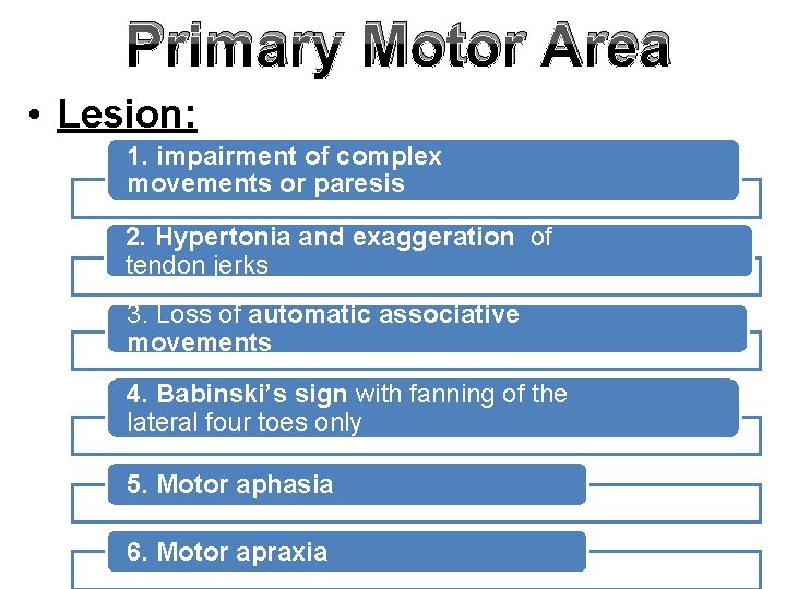 Primary Motor Area • Lesion: 1. impairment of complex movements or paresis 2. Hypertonia