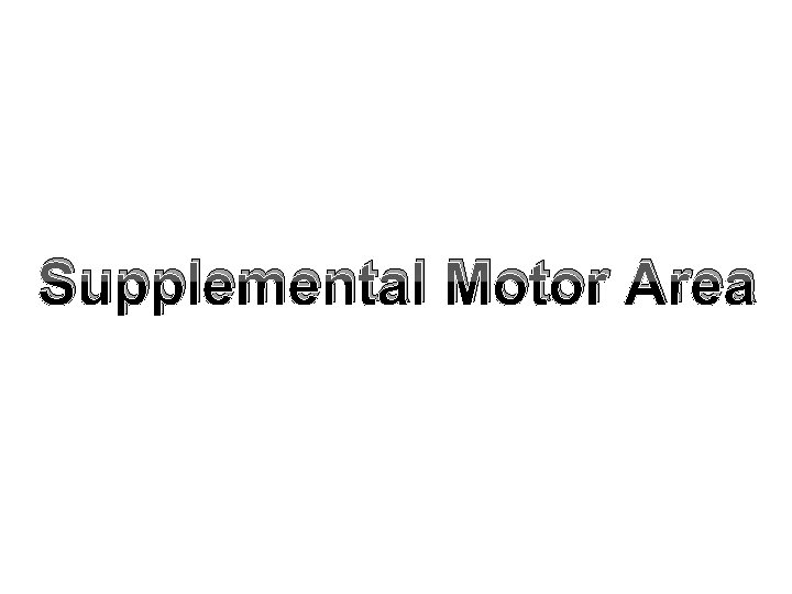 Supplemental Motor Area 