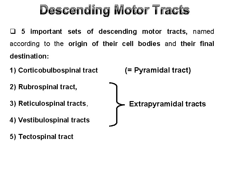 Descending Motor Tracts q 5 important sets of descending motor tracts, named according to