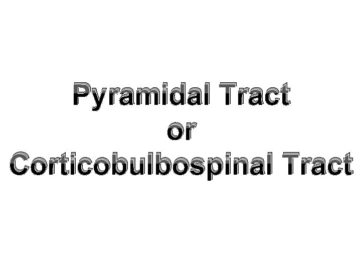 Pyramidal Tract or Corticobulbospinal Tract 