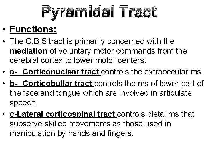 Pyramidal Tract • Functions: • The C. B. S tract is primarily concerned with