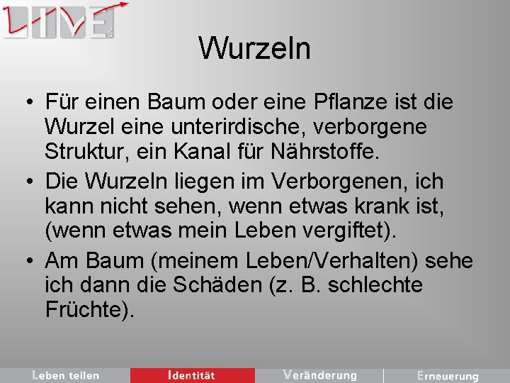 Wurzeln • Für einen Baum oder eine Pflanze ist die Wurzel eine unterirdische, verborgene