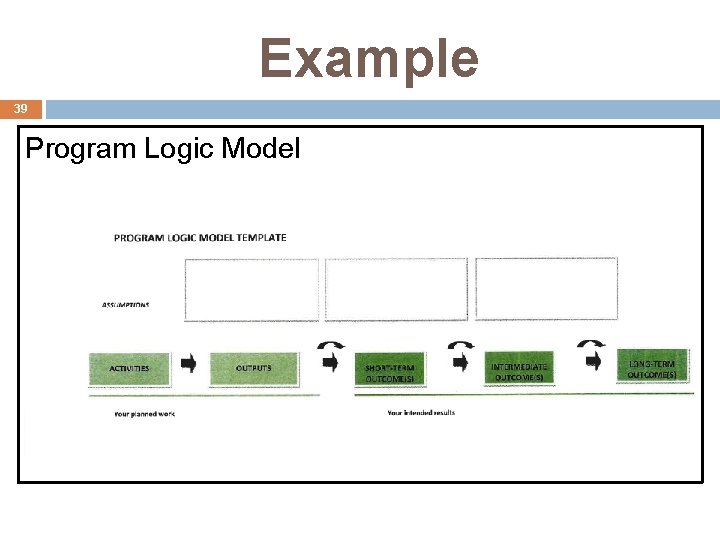 Example 39 Program Logic Model 