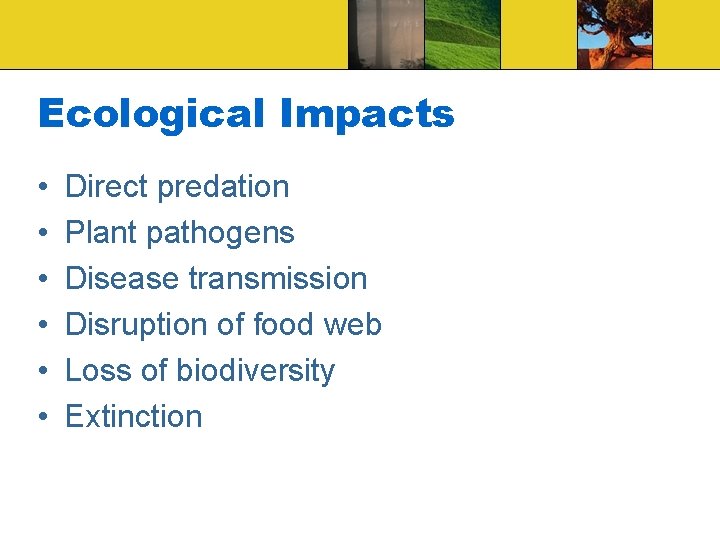 Ecological Impacts • • • Direct predation Plant pathogens Disease transmission Disruption of food