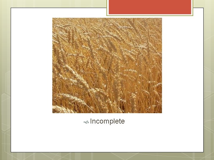 NUTRITION 3 Necessary Macronutrients Protein Carbohydrates Fats What