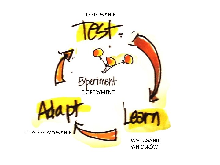 TESTOWANIE EKSPERYMENT DOSTOSOWYWANIE WYCIĄGANIE WNIOSKÓW 