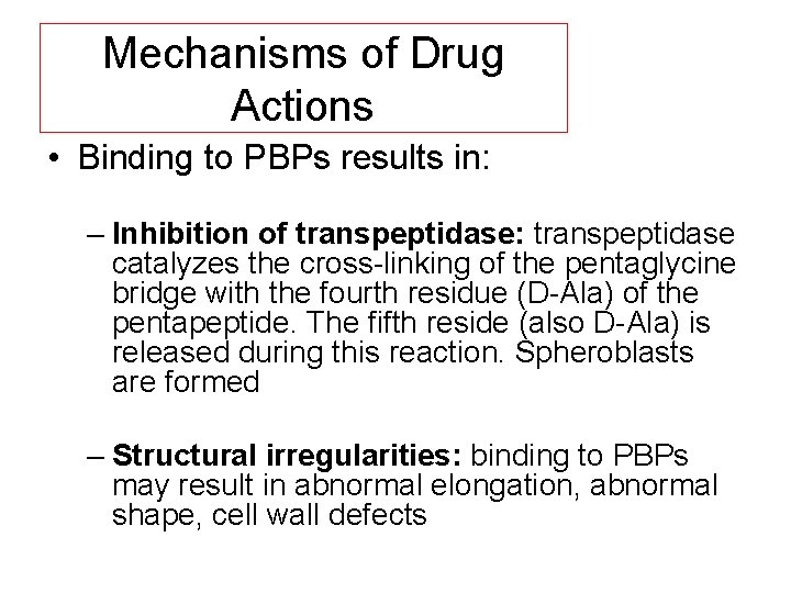 Mechanisms of Drug Actions • Binding to PBPs results in: – Inhibition of transpeptidase: