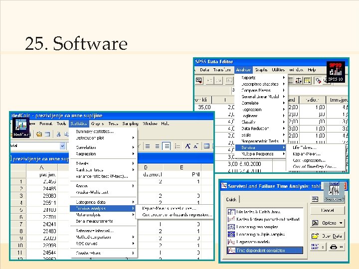 25. Software 