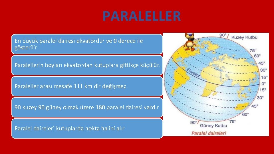 PARALELLER En büyük paralel dairesi ekvatordur ve 0 derece ile gösterilir Paralellerin boyları ekvatordan
