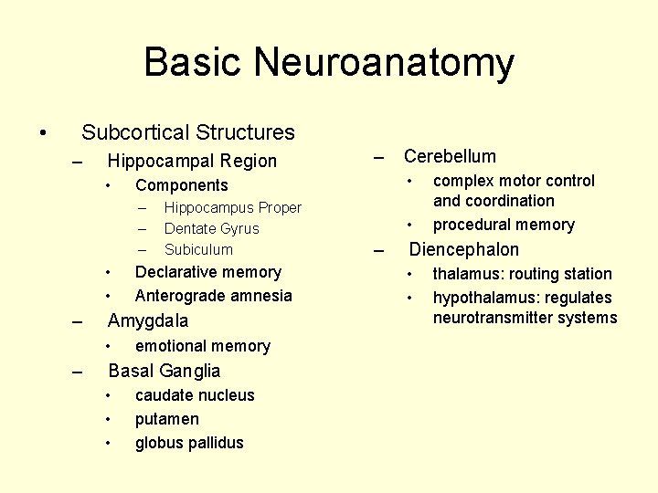 Basic Neuroanatomy • Subcortical Structures – Hippocampal Region • • • – – –