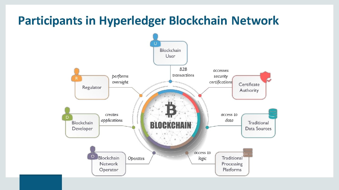 Participants in Hyperledger Blockchain Network 