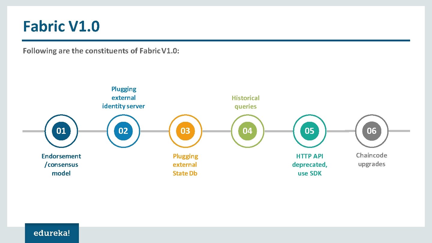 Fabric V 1. 0 Following are the constituents of Fabric V 1. 0: Plugging