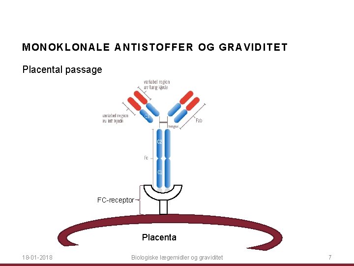 MO NOKL ONALE ANTIST OF FE R OG G RA VI DI TET Placental