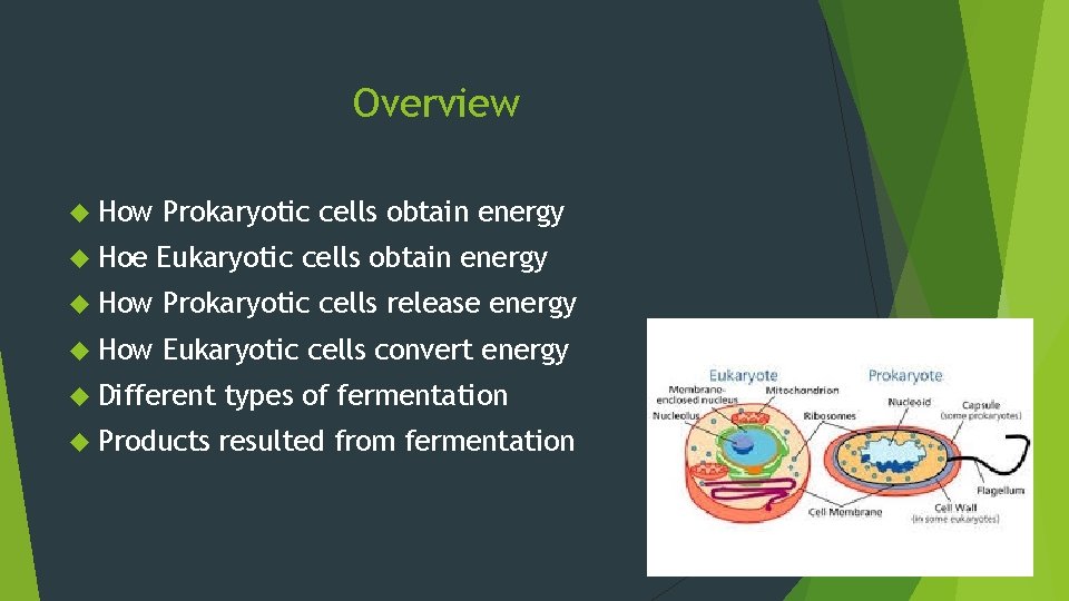 Overview How Prokaryotic cells obtain energy Hoe Eukaryotic cells obtain energy How Prokaryotic cells